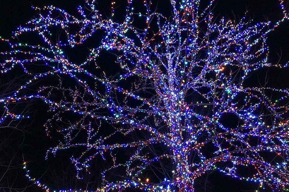 Lights at Dollywood Theme Park.